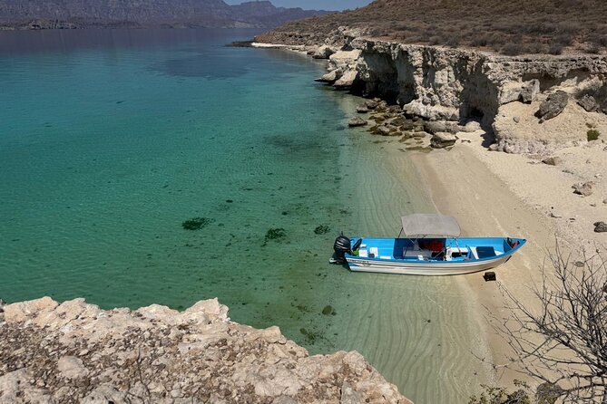 South Carmen and Danzante Island Adventure - Activities: Ocean Safari and Wildlife Spotting