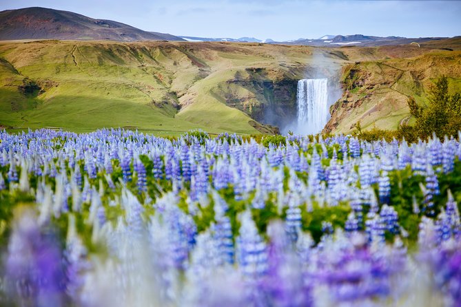South Coast Iceland from Reykjavik with Guide & Touchscreen Audio - Exploring the Power of Waterfalls: Skógafoss and Seljalandsfoss