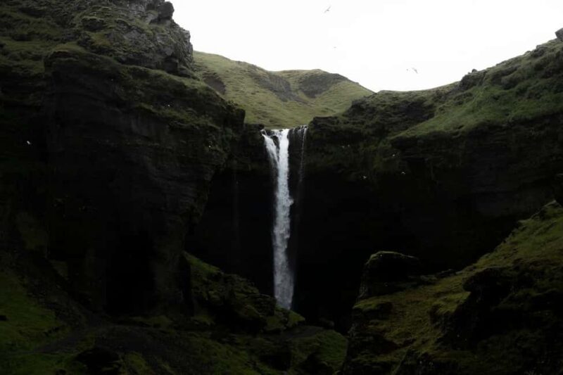 South Coast of Iceland Tour with Glacier Hike and Waterfalls - A Walk Along Víkurfjara’s Black Sand Beach and Sea Cliffs