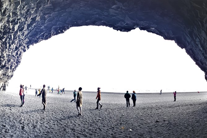 South Coast Private Day Tour - up to 9 passengers - Flexible Schedule and Seasonal Highlights