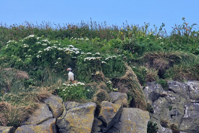 South Coast Private Tour Iceland - Practical Details: What’s Included and What’s Not