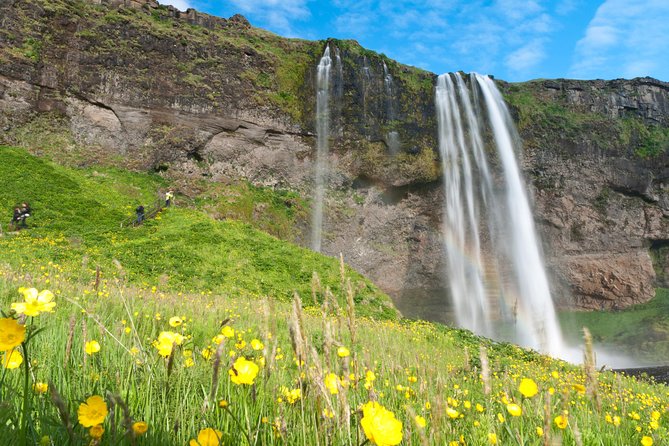 South Coast Sagas: Small Group Tour from Reykjavik - Practical Details and Accessibility