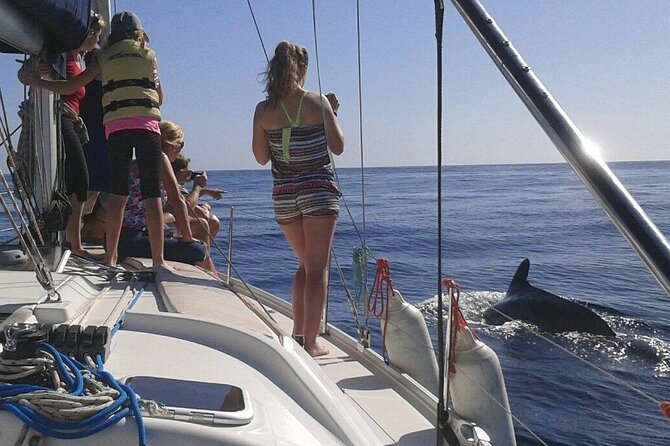 South Coast Tenerife Cruise - Booking and Cancellation Policies