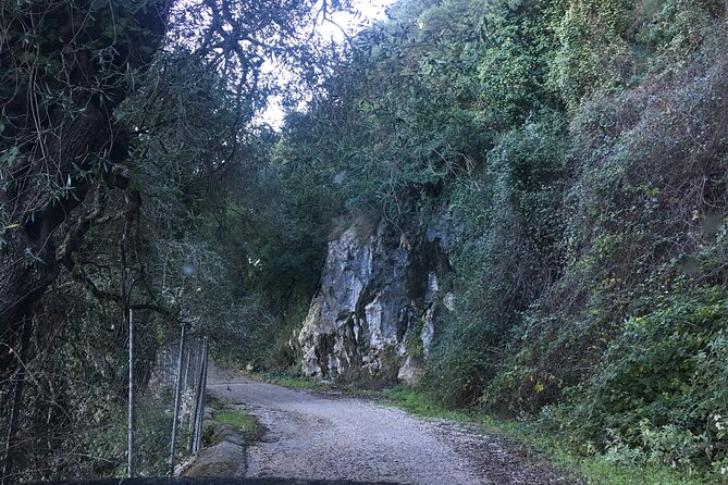 South Corfu Premium 4x4: Villages, Views & Flavours - The Off-Road Route and Scenic Views from the Vehicle