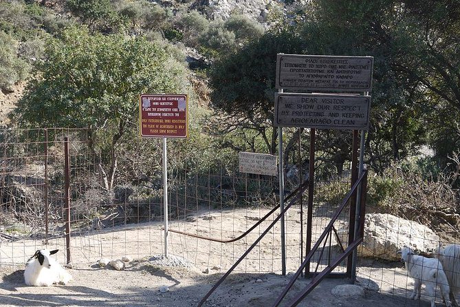 South Crete - The gorge of the Eremits, Sunset in Matala - Knowledgeable Guides and Personal Touches