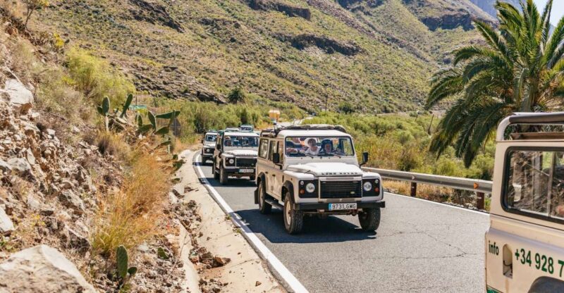 South Gran Canaria: Off-Road Valleys & Villages Jeep Tour - From the Old Town of Maspalomas to Lake Chira