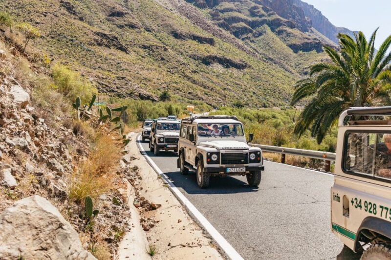 South Gran Canaria: Off-Road Valleys & Villages Jeep Tour - Practical Details: Logistics and Group Experience