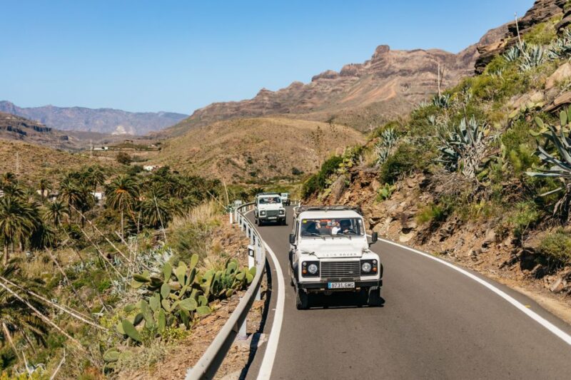 South Gran Canaria: Off-Road Valleys & Villages Jeep Tour - Highlights of the Guide’s Expertise and Style