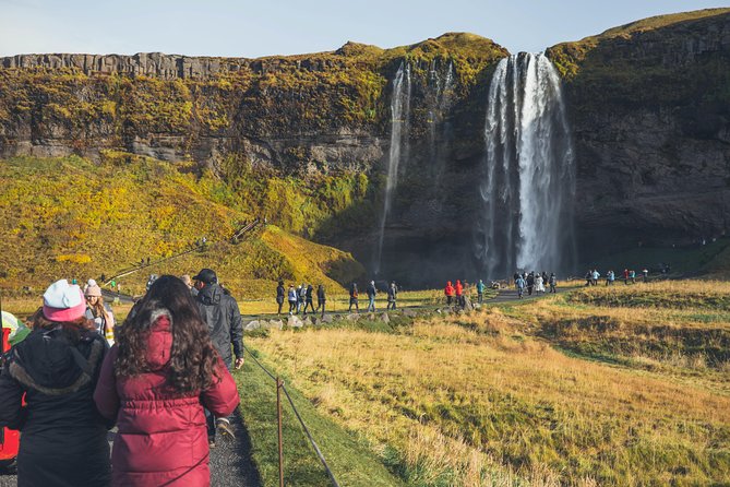 South Iceland Glaciers, Waterfalls and Black Sand Beach Day Tour from Reykjavik - Reynisfjara Black Sand Beach and Basalt Columns