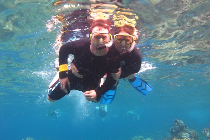 South Maui Kayak and Snorkel Tour with Turtles - The Reefs and Marine Ecosystem Explored