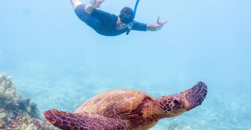 South Maui: Molokini Snorkeling Adventure - The Snorkel Stops: Molokini Crater and Turtle Town