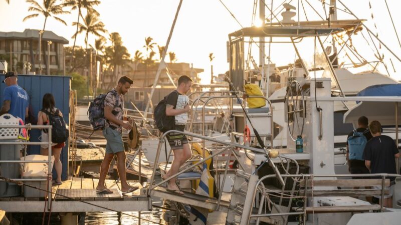 South Maui: Molokini & Turtle Town Snorkeling Tour with Meal - Turtle Town: Snorkeling with Hawaiian Green Sea Turtles