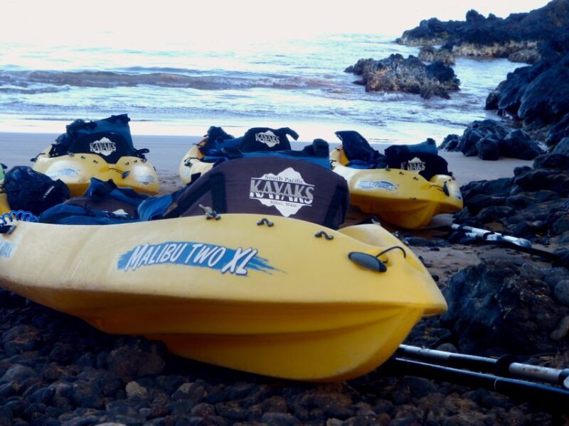 South Maui: Premium Turtle Town Kayak and Snorkel Tour - The Guide’s Role in Creating a Memorable Experience
