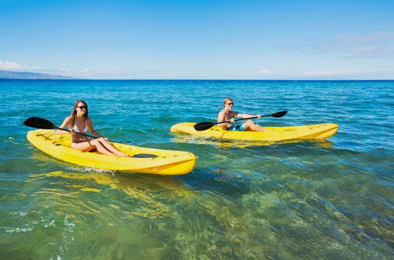 South Maui: Premium Turtle Town Kayak and Snorkel Tour - Comparing This Tour to Similar Maui Experiences