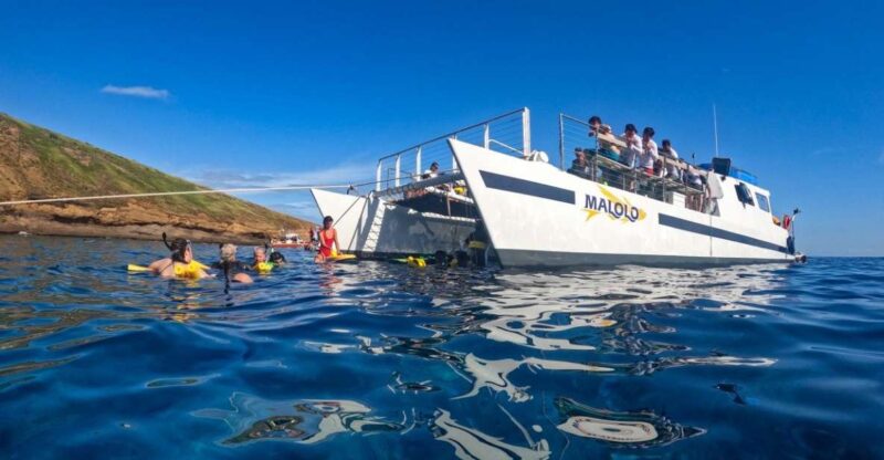 South Maui: Snorkel to Coral Gardens or Molokini Crater - Key Points
