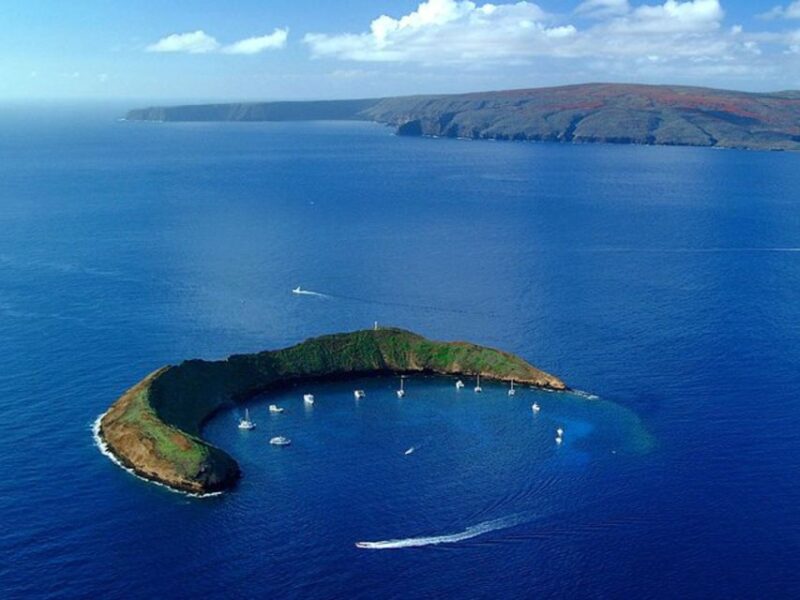 South Maui: Snorkel to Coral Gardens or Molokini Crater - Marine Biodiversity and Snorkeling at Coral Gardens and Molokini Crater