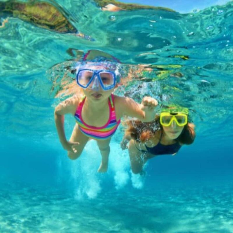 South Padre Island: North Bay Snorkeling Tour - Key Points