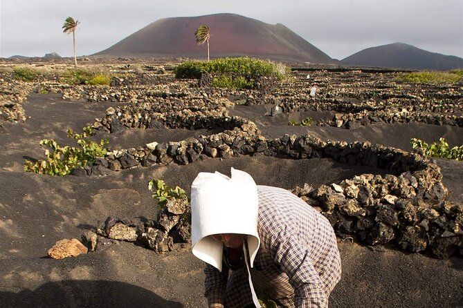 South Route Natural pools, Las Salinas and La Geria - Discovering the Lava Rocks at Playa del Janubio