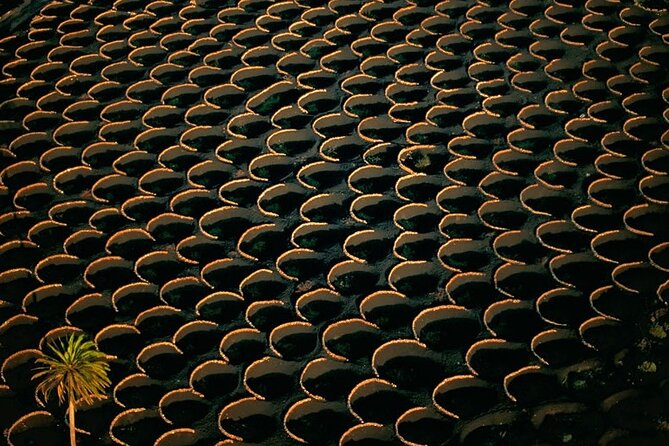 South Route Natural pools, Las Salinas and La Geria - Exploring the La Geria Wine Region’s Ingenious Fields