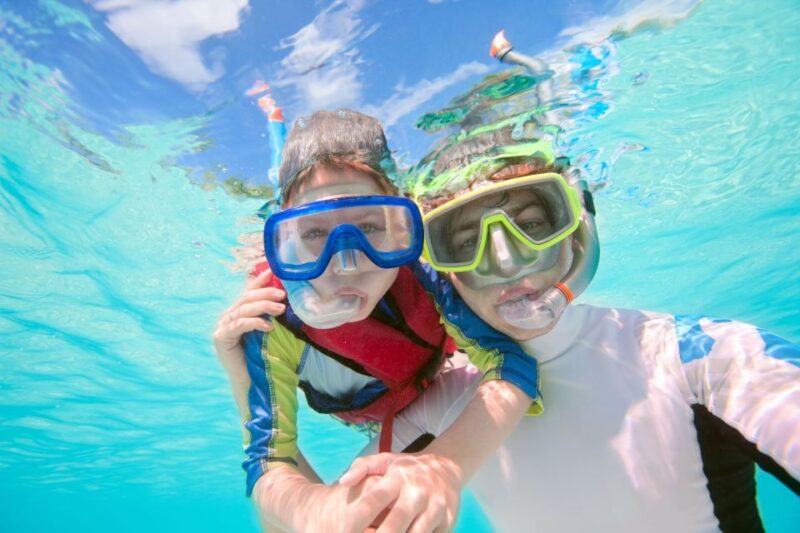 South Tenerife: Guided Snorkeling - Physical Requirements and Accessibility