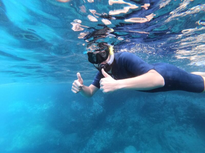South Tenerife: Guided Snorkeling - Final Thoughts on the South Tenerife Guided Snorkeling Tour