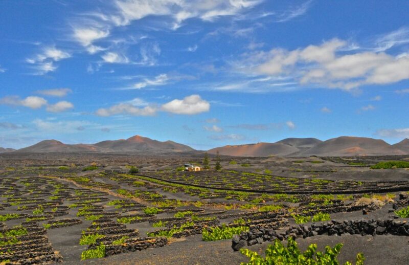 South Tour: Timanfaya National Park - Explore Lanzarote’s Volcanic Wonders with the South Tour