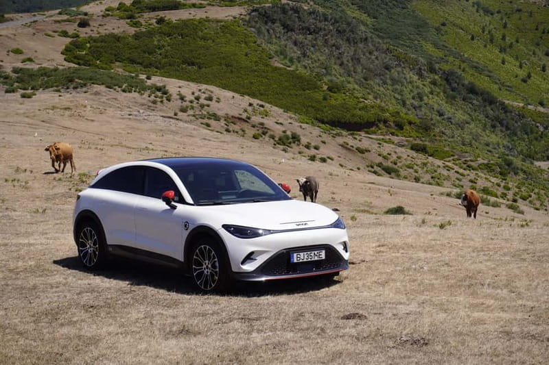 South-West Madeira: Jardim do Mar, Paul do Mar, Ponta do Sol - Paul do Mar: Laid-back Surf Vibe and Coastal Serenity