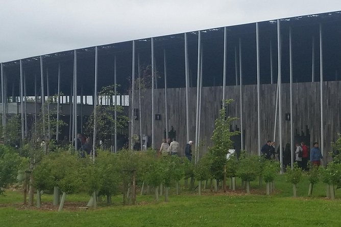 Southampton Cruise Terminal/Hotel to London with Stops at Salisbury & Stonehenge - Safety Measures and COVID-19 Precautions