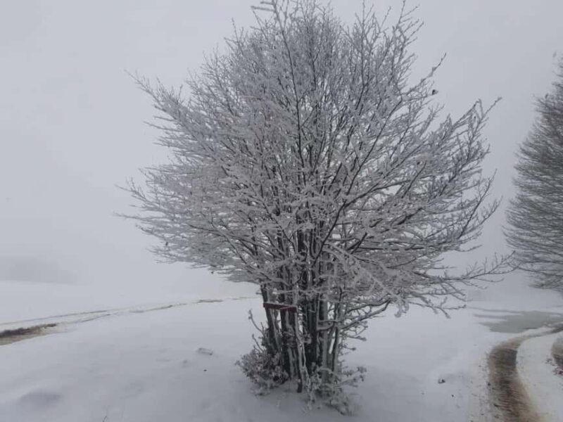 Southern Albania: Përmet Mountain Hike with Panoramic Views - Logistics: Meeting, Timing, and Group Size