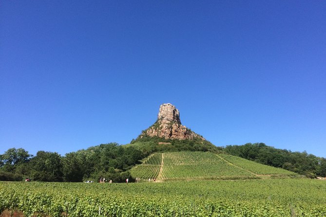 Southern Burgundy Wine Tour - Full Day Shared tour from Lyon - An Authentic Full-Day Bordeaux-Style Wine Experience from Lyon for Enthusiasts
