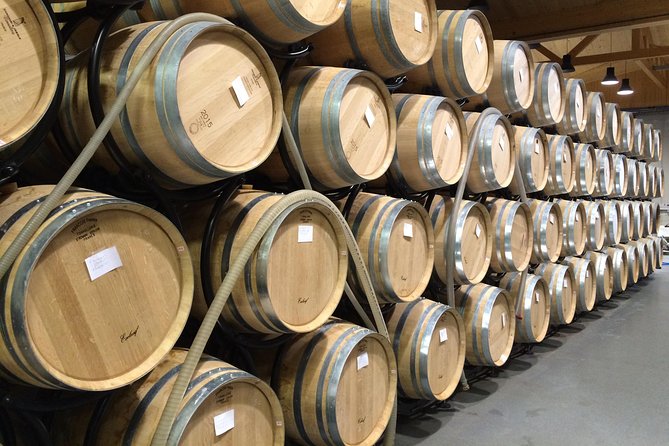 Southern Burgundy Wine Tour - Full Day Shared tour from Lyon - Key Points