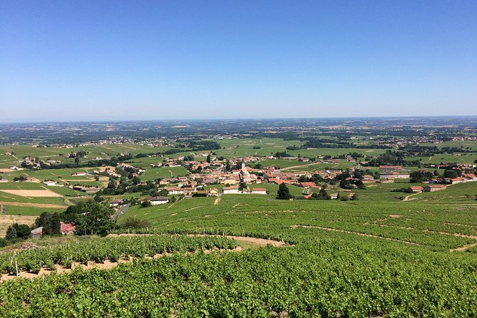 Southern Burgundy Wine Tour - Full Day Shared tour from Lyon - Visiting a Family-Owned Winery in Fuisse