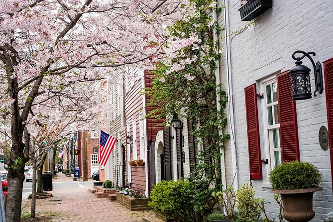 Southern Comfort - Old Town Alexandria Food & History Tour - Practical Details and Accessibility