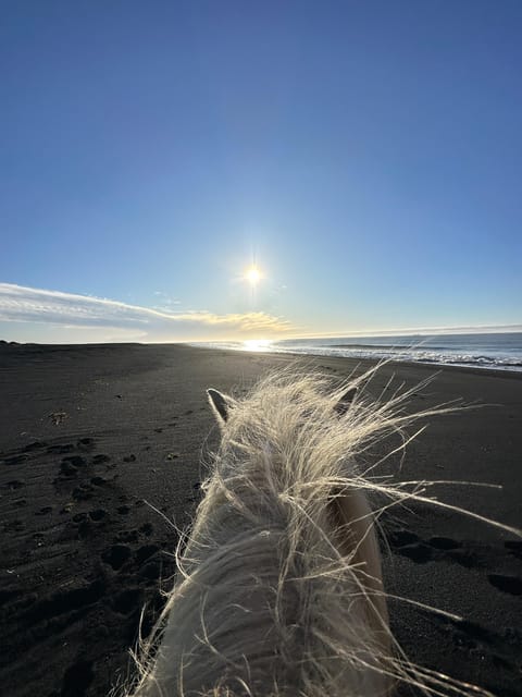 southern Iceland: Black beach riding tour - From Meeting Point to the Black Sand Coastline