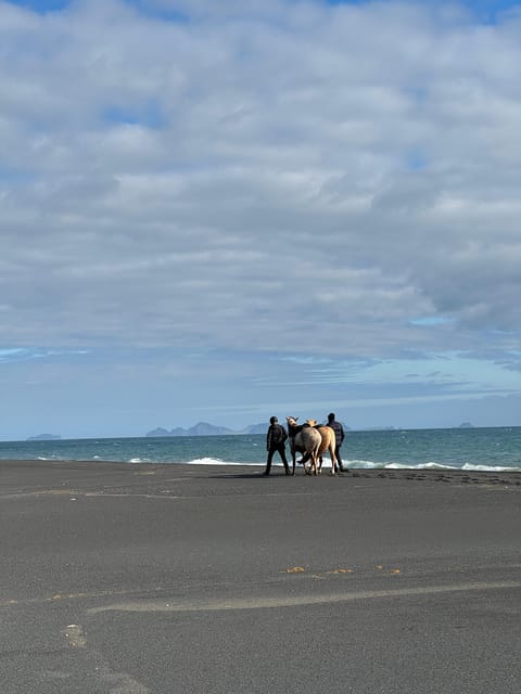 southern Iceland: Black beach riding tour - Riding Experience and Pacing Details