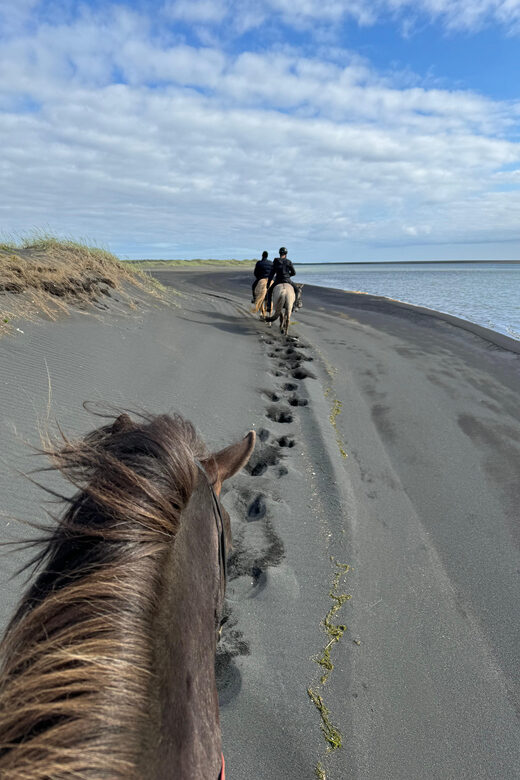 southern Iceland: Black beach riding tour - What to Bring and Prepare for