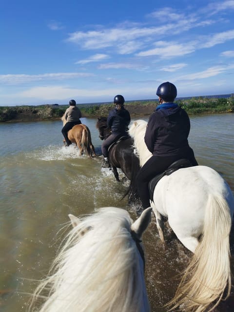southern Iceland: Black beach riding tour - The Advantages of a Small Group Tour