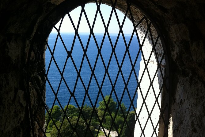 Southern Istria guided tour - Vodnjan and Its Olive Oil Tradition