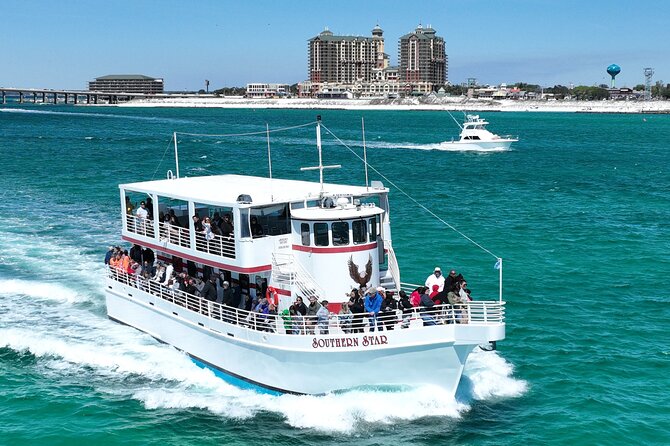 Southern Star Dolphin Cruise in Destin - Up-Close Dolphin Encounters in Natural Habitat