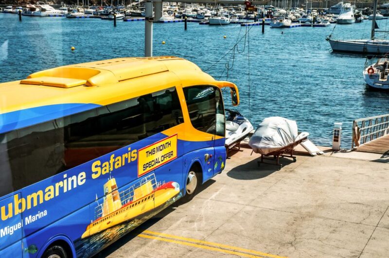 Southern Tenerife: 50-Minute Submarine Dive - The Excursion Itself: Underwater Views and Marine Life