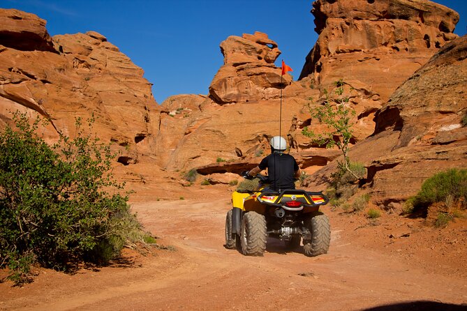 Southern Utah Full-Day ATV Tour - Enjoying a Picnic Lunch and Scenic Breaks