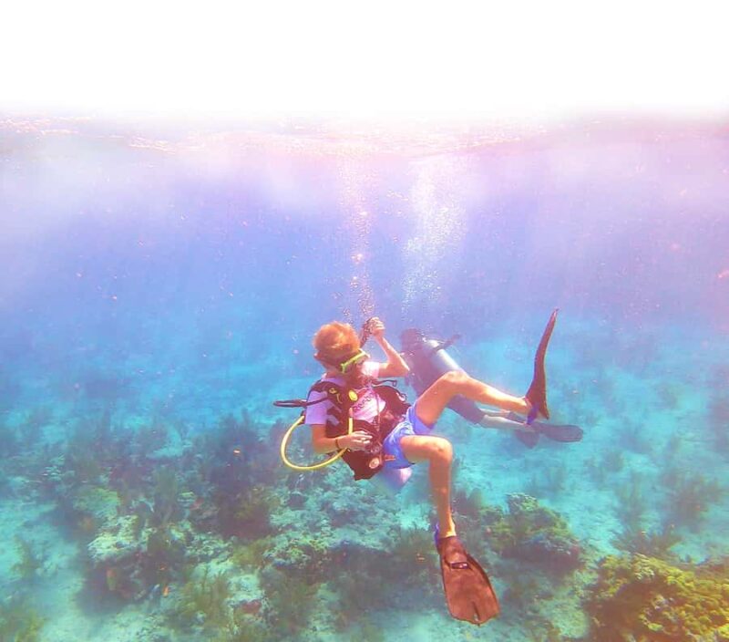 Southpoint Divers: Afternoon Reef Dive Trip - Discover the Florida Keys Third Largest Coral Reef with Southpoint Divers