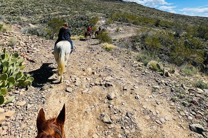 Southwest Horseback Riding with Spectacular Views - Key Points