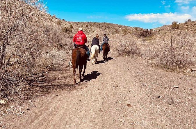 Southwest Horseback Riding with Spectacular Views - Included Lunch and Cowboy Entertainment at the Ranch