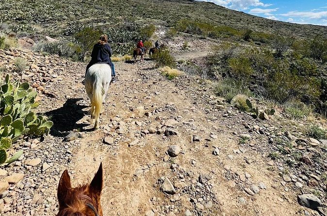 Southwest Horseback Riding with Spectacular Views - Who Will Enjoy This Western Adventure?