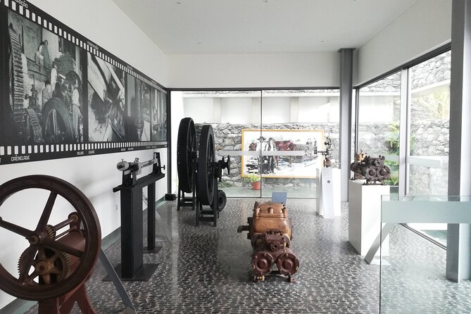 Southwest Tour of the Island - Visiting Prazeres, Paul do Mar, and Jardim do Mar