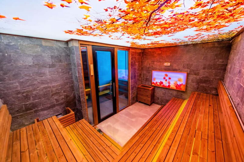 Spa day pass at Pulse Therme Banya - Planning Your Visit: Practical Tips and Requirements