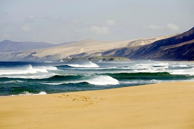 Spain's Best Beaches Day Trip from Seville - Discovering the Beaches of Bolonia and El Palmar