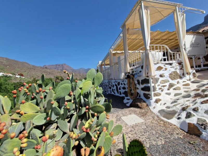 Spanish Cured Meats & Wine Tasting Tour in Mogan - Convenience and Practical Details