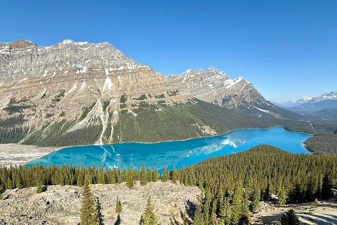 Spanish Private Tour to Columbia Icefields from Calgary - The Highlight: Columbia Icefield Glacier Tour with Ice Explorer